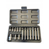 ZESTAW BITÓW TORX 15 El T20-T55(L: 30/75mm)