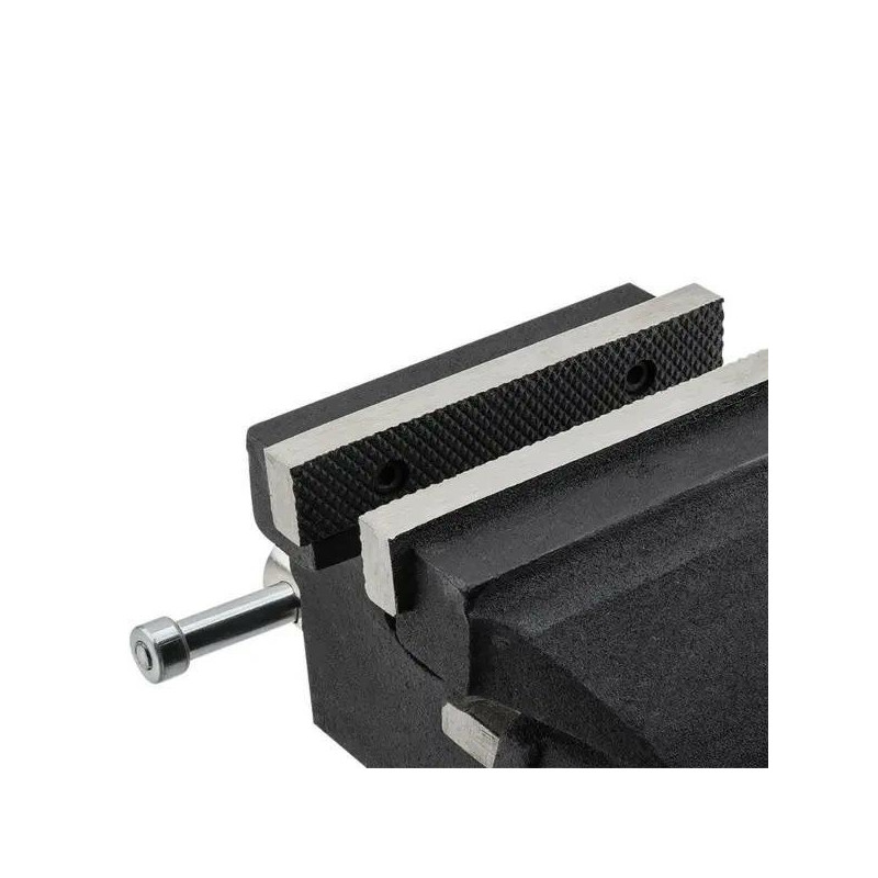 Imadło żeliwne z kowadłem 4" 100mm (S.G. Cast Iron)